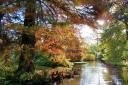 Leckford Park Water Gardens
