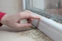 Lots of condensation can lead to dampness which can cause mould growth on blinds, walls and ceilings