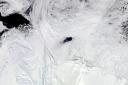 The Maud Rise polynya in Antarctica