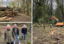 Residents and leaders 'outraged' as historic woodland torn down without permission
