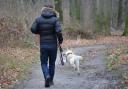 Police have issued a warning to dog owners. Picture: Canva