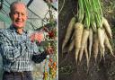 Hampshire man joins veg-growing army battling to protect food security