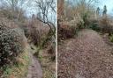 Before and after the path was cleared