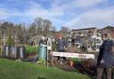 Incredible Edible Winchester at an allotment