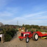 Headlands Farm re-launches 'borrow a tree' scheme