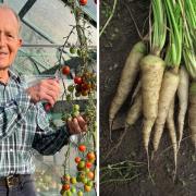 Hampshire man joins veg-growing army battling to protect food security