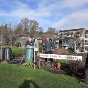 Incredible Edible Winchester at an allotment