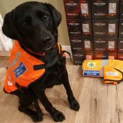 Hampshire Search and Rescue Dogs