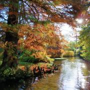 Leckford Park Water Gardens