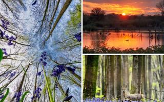 The six best photographs taken in the Hampshire camera clubs this week