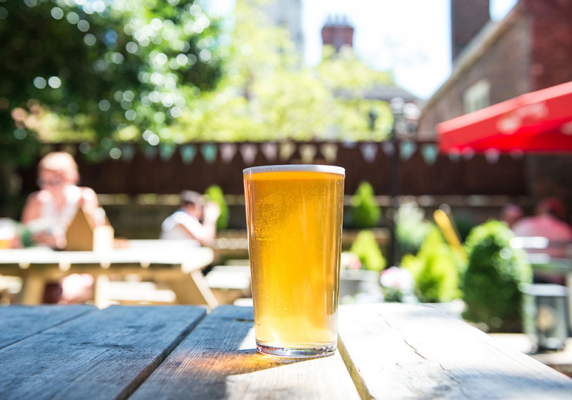 A pint in a beer garden