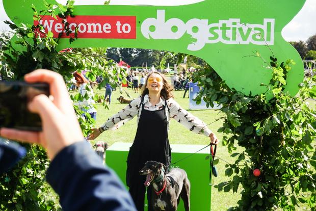 Hampshire Chronicle: Dogstival is going ahead for 2021 in Burley 