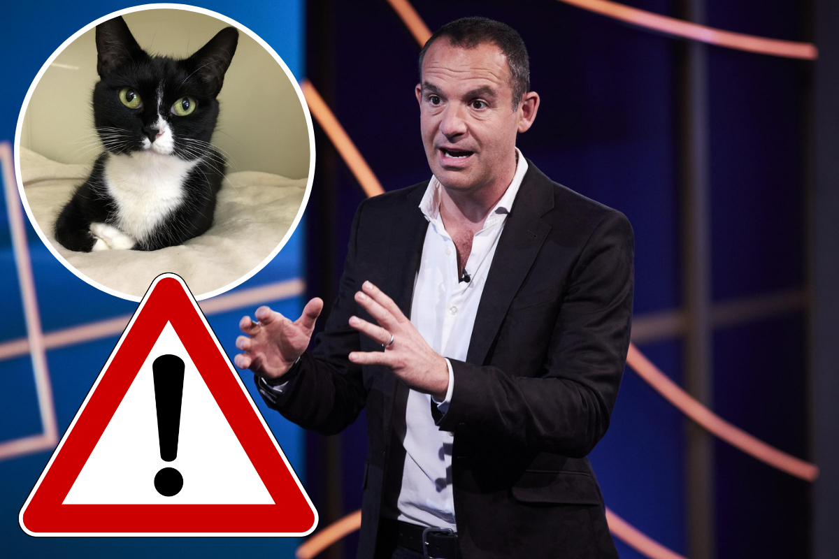 Martin Lewis issues warning to cat owners in the UK