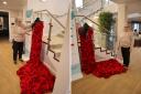 Janet Palmer, volunteer at Brendoncare Otterbourne Hill’s community hub with the dress made up of over 1,000 knitted and crocheted poppies