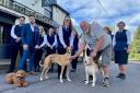 The Four Horseshoes dog walking club