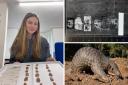 University of Winchester student aiding research to combat pangolin poaching