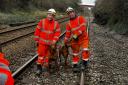 Network Rail saves two Vizslas