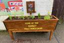 Hampshire male choir sets up floral display at Romsey Rail Station