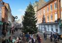 Winchester's Christmas tree goes up on November 13, 2022. Picture by Stuart Martin.