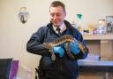 The RSPCA is recruiting 11 new Animal Rescue Officers