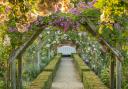 Mottisfont Abbey to offer extended opening hours as rose season begins
