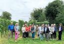 Group from Friends of Romsey Abbey