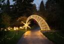 Hampshire botanical gardens to open night time art trail later this month