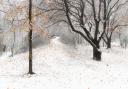Snow on Wolstonbury Hill by Matt Goddard