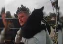 Watch: Plumber goes viral in video showing him trying to return escaped cat