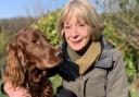 Scores of dog walkers to take part in charity countryside walk