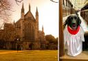 Left: Winchester Cathedral. Right: Daisy the dog