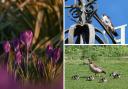 Some of our favourite photos by the Hampshire Camera Clubs this week