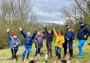 New trees being planted at Wild Heart Hill as part of Trees for the Downs
