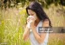 Climate change affects hay fever