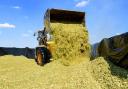 Warning of summer silage pollution threat to South East waterways