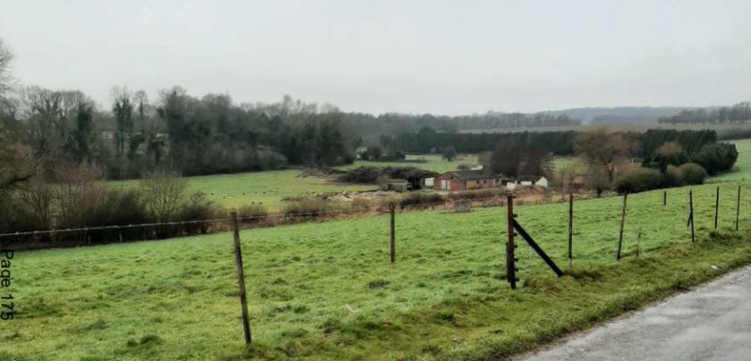 The watercress beds seen from Abbotstone Road. Photo: WCC