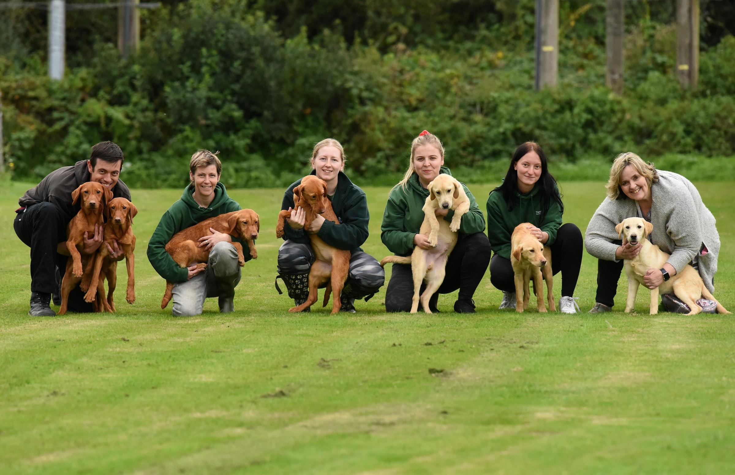 Pictured: Two members of Winchester City Council Animal Welfare team (ends, left & right) with Three Oaks Boarding Kennels staff (center) in Bishops Waltham, Hampshire with the seven puppies which they are currently looking after.....A cyclist was
