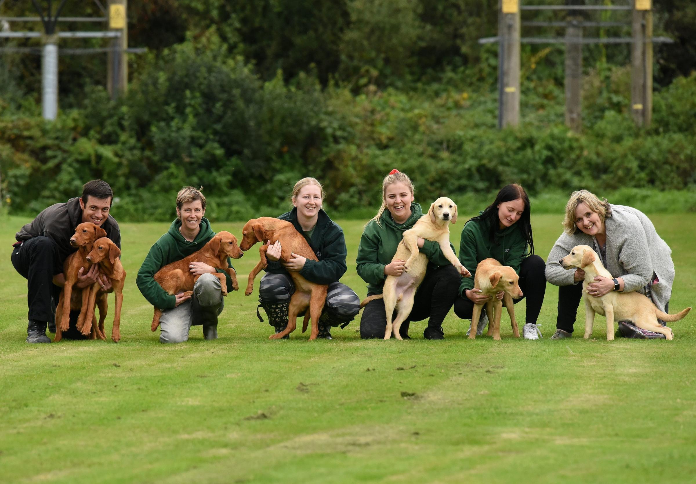 Three Oaks Boarding Kennels staff with seven of the puppies. Photo: Solent News 