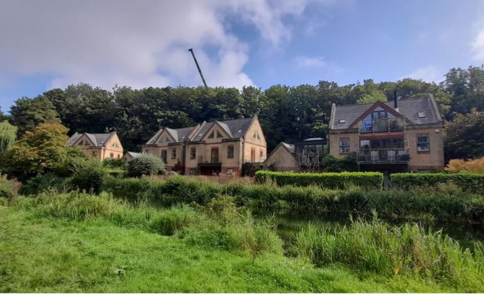 The view from the Itchen Bavigation showing houses on Domum Road. The Vaultex site is behind the trees under the crane. Photo: WCC