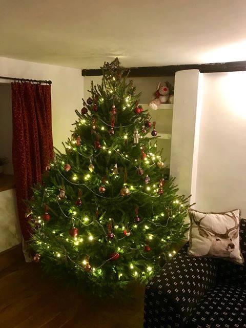 Hampshire Chronicle: Facebook: Salisbury Christmas Trees