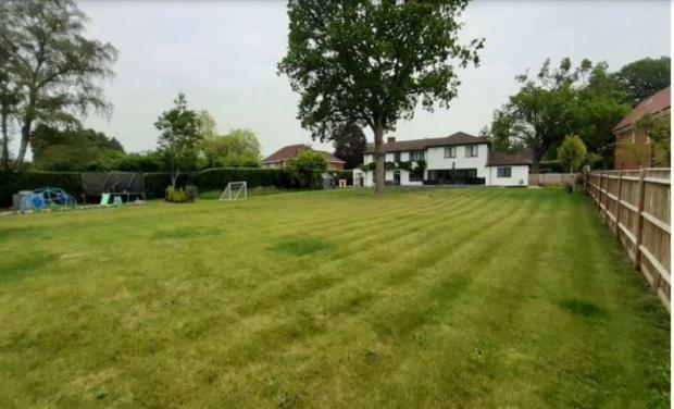 Hampshire Chronicle: The back garden at Smoke Acre where the house will be built 