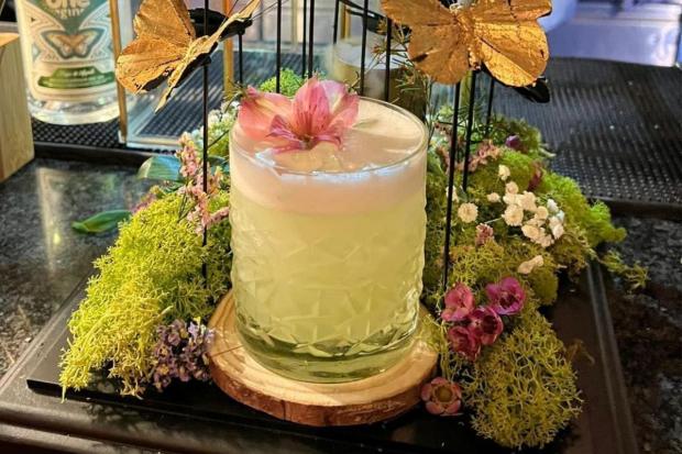 Hampshire Chronicle: Butterfly Effect cocktail, Incognito Winchester