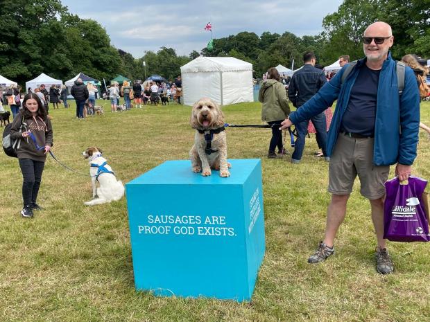 Hampshire Chronicle: Dogstival 2022