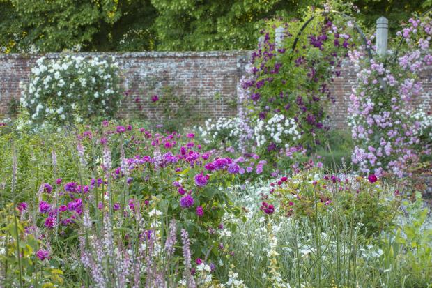 Hampshire Chronicle: The Rose Garden in June at Mottisfont, Hampshire.