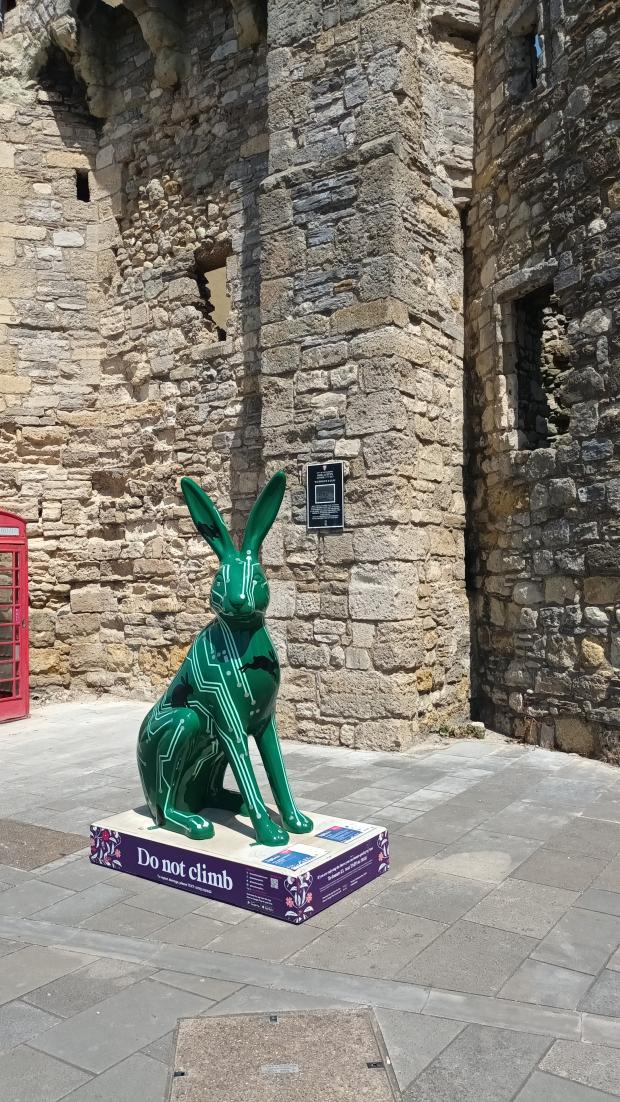 Hampshire Chronicle: A hare sculpture outside God's House Tower.