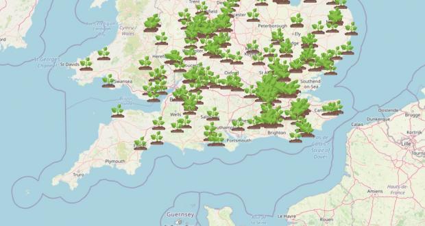 Hampshire Chronicle: WhatShed's interactive map shows dozens of spots in the south of England where Giant Hogweed has been spotted. Picture: WhatShed