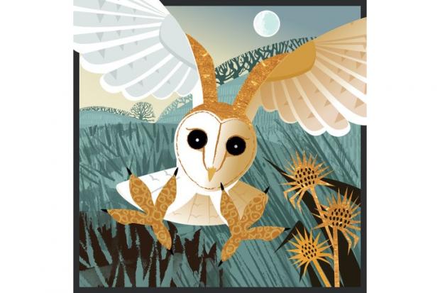 The Selborne Beistary: Barn Owl. Credit, Rachel Hudson Illustration
