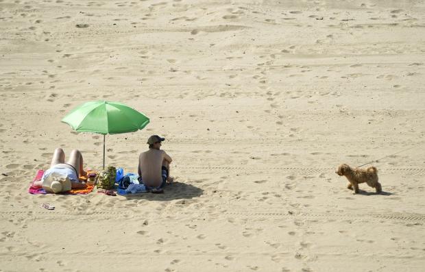 Hampshire Chronicle: Surfaces such as sand can absorb a lot of heat on sunny days and burn animal paws.  Photo: PA