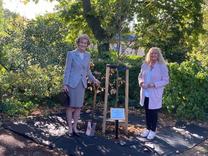 Platinum Jubilee tree planted at Romsey Hospital as a tribute to the late Queen