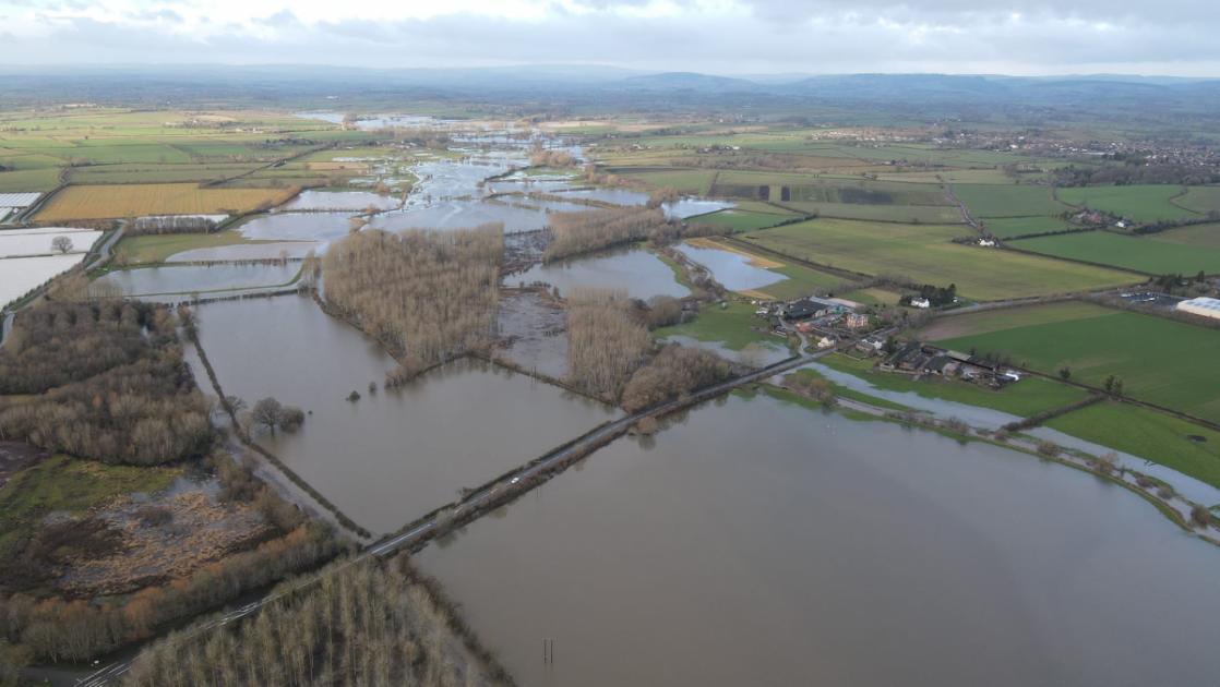 Flood alerts remain in Hampshire as heavy rain forecast 
